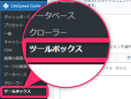 LiteSpeed Cache > ツールボックスを選択する